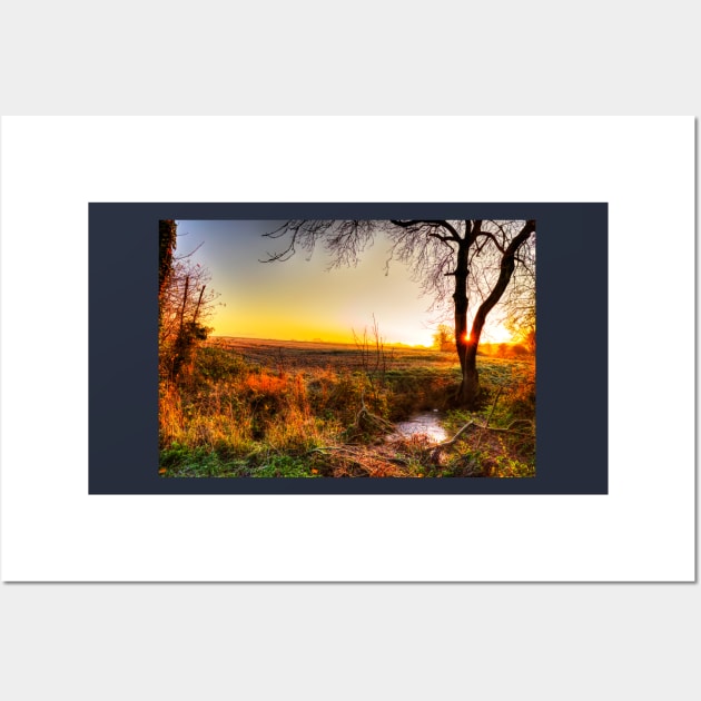 Sunrise Down By The Stream Wall Art by tommysphotos